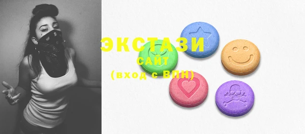 ECSTASY Краснослободск
