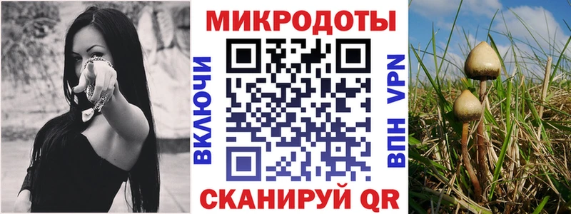 Галлюциногенные грибы мицелий  где купить   Саки 